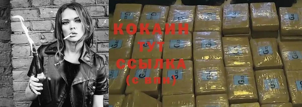 бошки Коряжма
