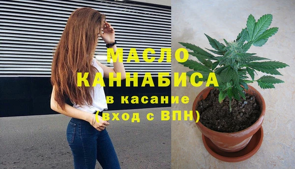 гашик Костерёво