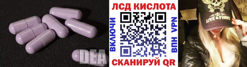 Купить закладки  Всеволожск  Лсд 25 экстази кислота 