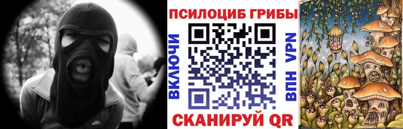 Псилоцибиновые грибы GOLDEN TEACHER  Купить закладки  Всеволожск 